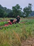 Préparation repiquage poireaux